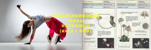 героин Абаза