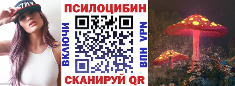 ОМГ ОМГ ссылки  как найти   Каменногорск  Галлюциногенные грибы ЛСД 